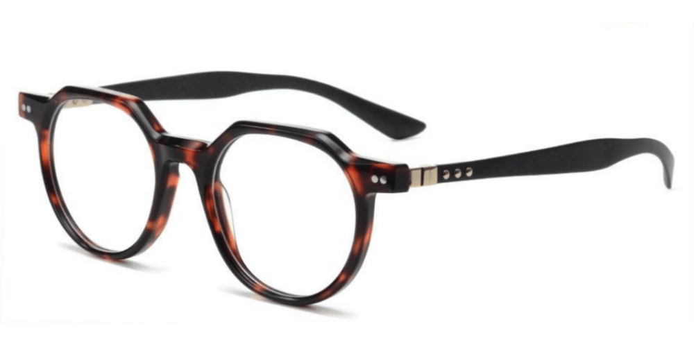 gradie-in-tortoise